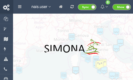 Revisione finale del progetto SIMONA